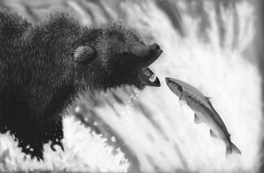 Bear Stream Fishing on Canvas (8x10) - Poised Wanderer
