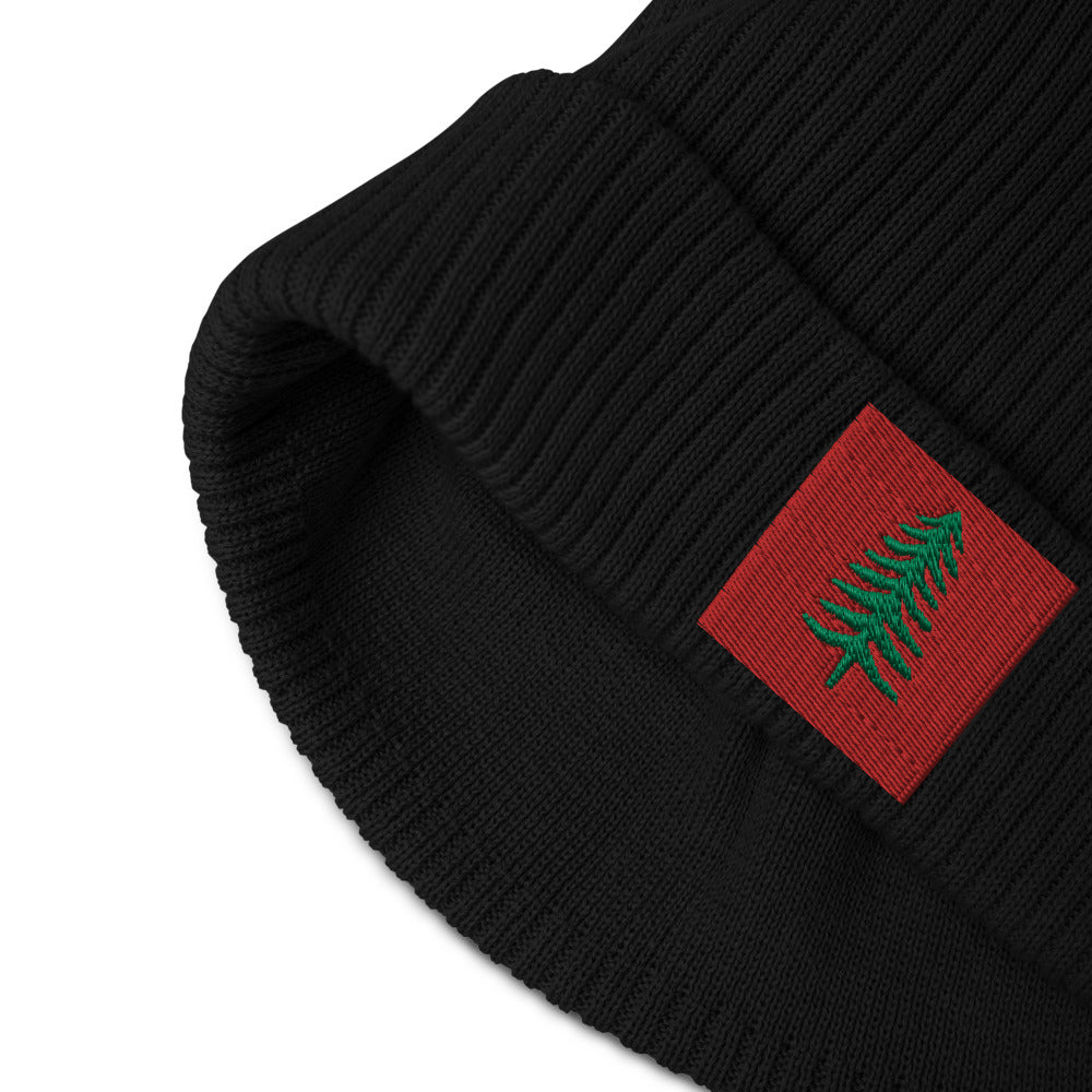 Lone Pine Black Organic Ribbed Beanie - Poised Wanderer