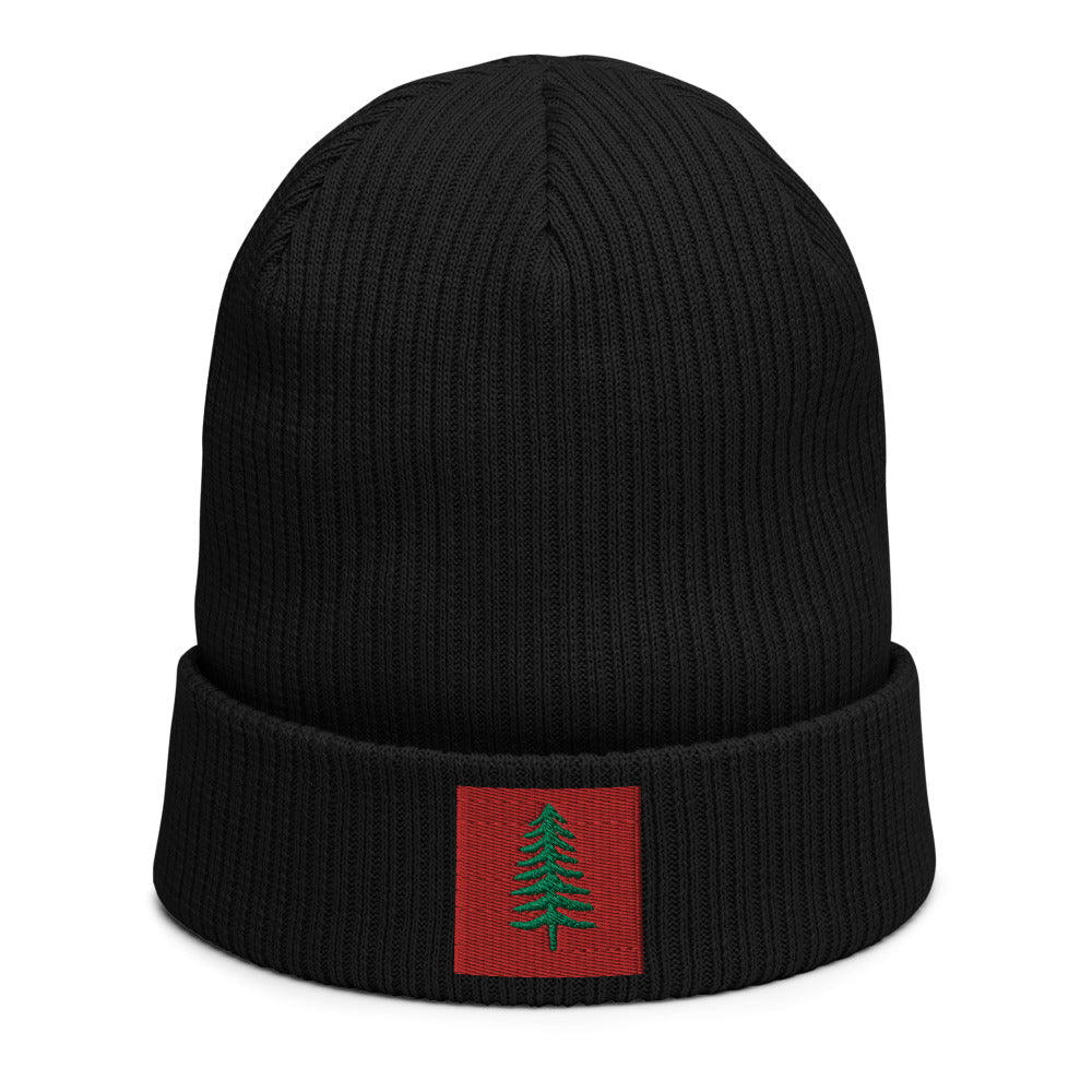 Lone Pine Black Organic Ribbed Beanie - Poised Wanderer