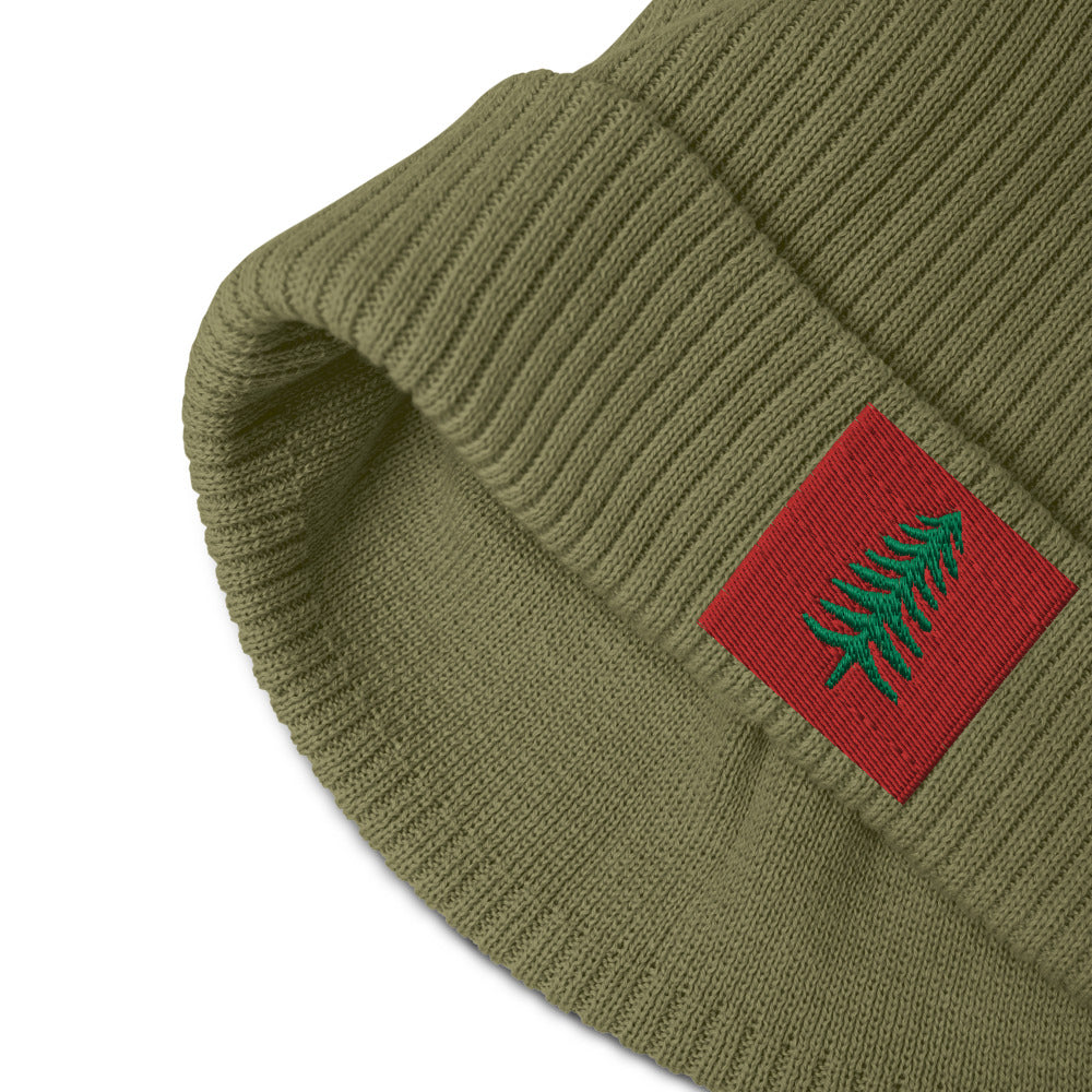 Lone Pine Olive Green Organic Ribbed Beanie - Poised Wanderer