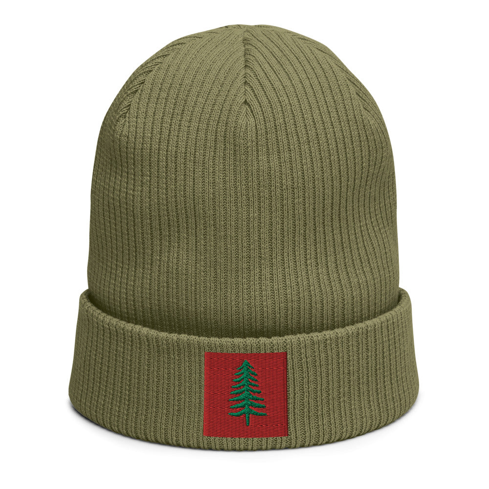 Lone Pine Olive Green Organic Ribbed Beanie - Poised Wanderer