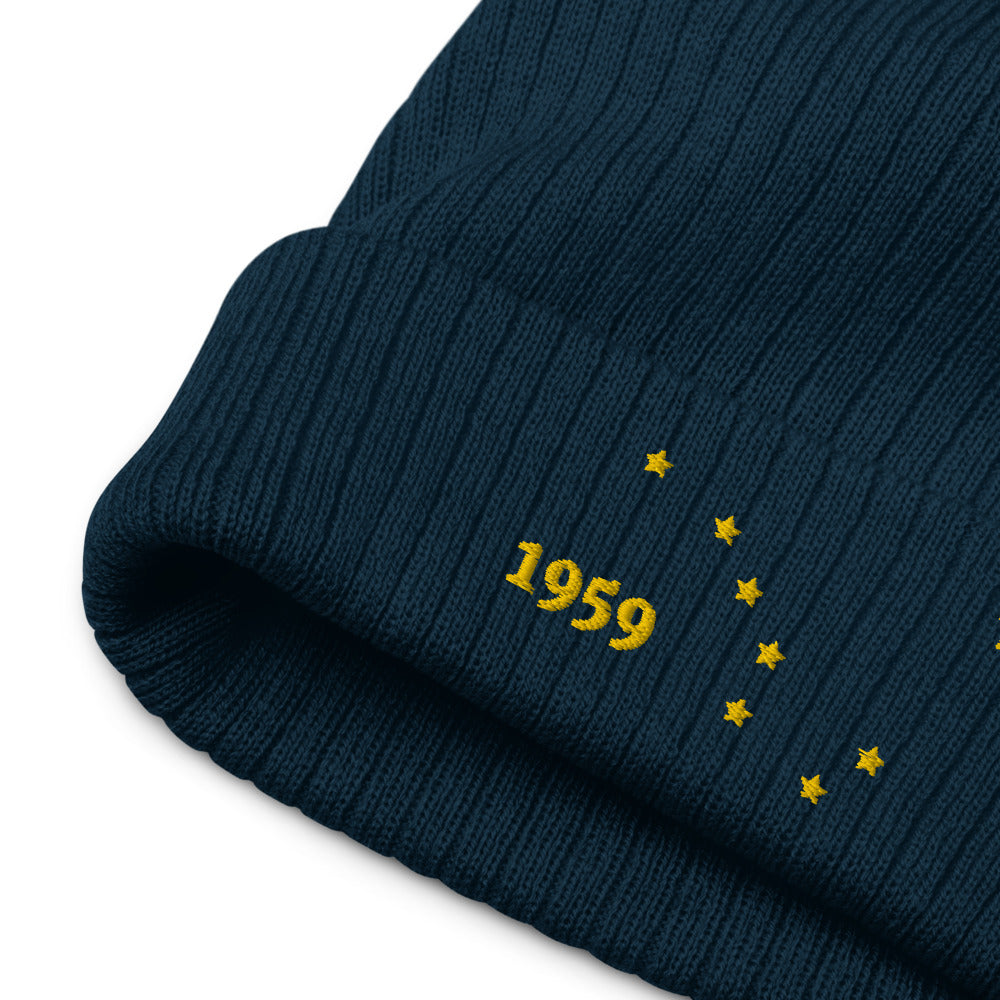 Alaska 1959 Recycled cuffed beanie - Poised Wanderer